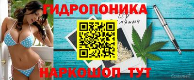 трава Брянск