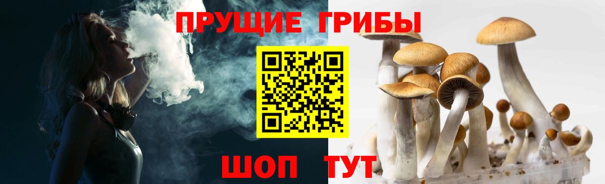 Галлюциногенные грибы MAGIC MUSHROOMS  Вход с VPN  Невинномысск  Псилоцибиновые грибы GOLDEN TEACHER 